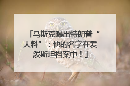 马斯克曝出特朗普“大料”：他的名字在爱泼斯坦档案中！