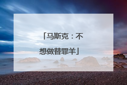 马斯克：不想做替罪羊