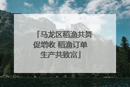 马龙区稻渔共舞促增收 稻渔订单生产共致富