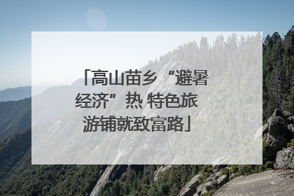 高山苗乡“避暑经济”热 特色旅游铺就致富路