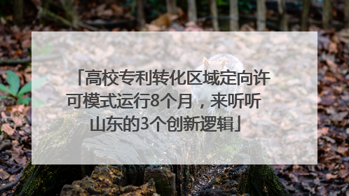 高校专利转化区域定向许可模式运行8个月，来听听山东的3个创新逻辑