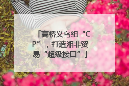 高桥义乌组“CP”，打造湘非贸易“超级接口”
