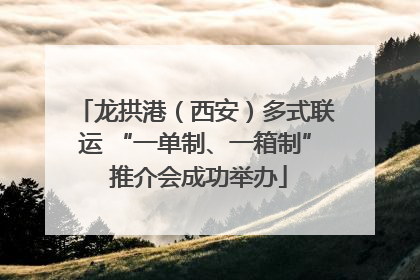 龙拱港（西安）多式联运 “一单制、一箱制” 推介会成功举办