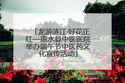 龙游涟江·好花正红—惠水县中医医院举办端午节中医药文化宣传活动