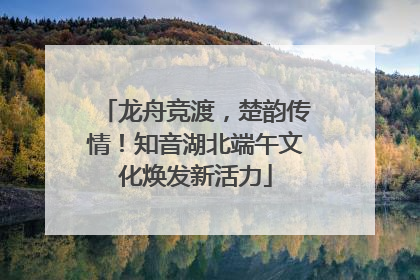 龙舟竞渡，楚韵传情！知音湖北端午文化焕发新活力