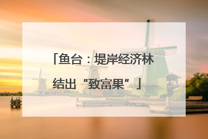 鱼台：堤岸经济林结出“致富果”