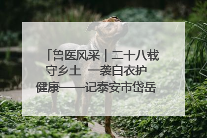 鲁医风采｜二十八载守乡土  一袭白衣护健康——记泰安市岱岳区满庄镇卫生院院长、主任医师张宝喜