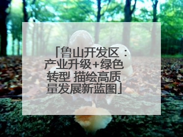 鲁山开发区：产业升级+绿色转型 描绘高质量发展新蓝图
