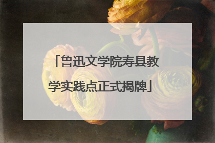 鲁迅文学院寿县教学实践点正式揭牌