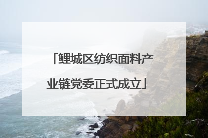 鲤城区纺织面料产业链党委正式成立