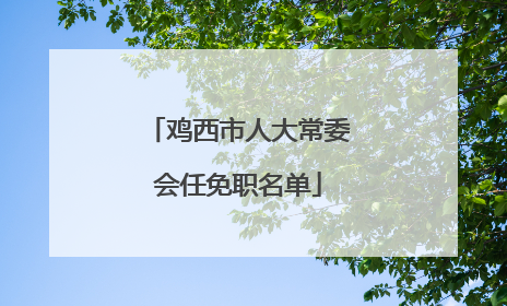 鸡西市人大常委会任免职名单