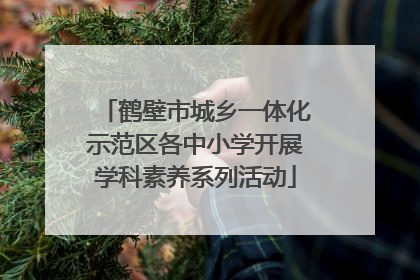 鹤壁市城乡一体化示范区各中小学开展学科素养系列活动