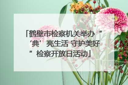 鹤壁市检察机关举办“‘典’亮生活 守护美好”检察开放日活动