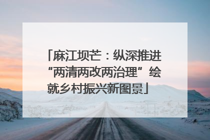 麻江坝芒：纵深推进“两清两改两治理”绘就乡村振兴新图景