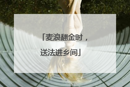 麦浪翻金时，送法进乡间