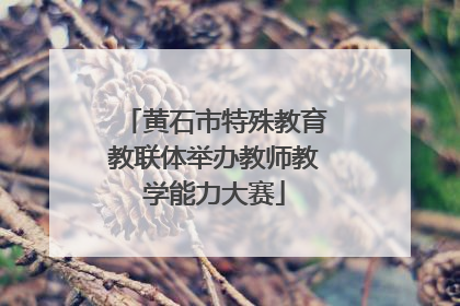 黄石市特殊教育教联体举办教师教学能力大赛