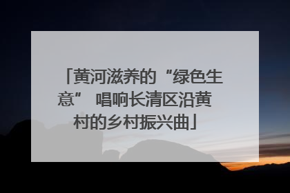 黄河滋养的“绿色生意” 唱响长清区沿黄村的乡村振兴曲