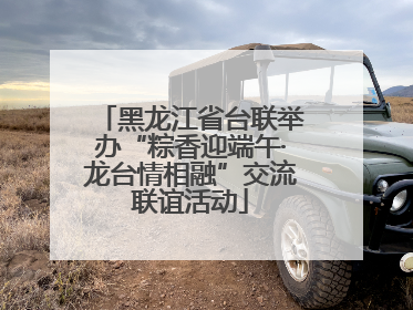 黑龙江省台联举办“粽香迎端午·龙台情相融”交流联谊活动