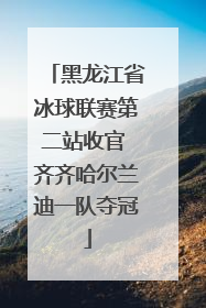 黑龙江省冰球联赛第二站收官 齐齐哈尔兰迪一队夺冠