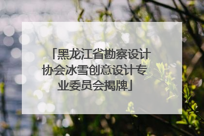 黑龙江省勘察设计协会冰雪创意设计专业委员会揭牌