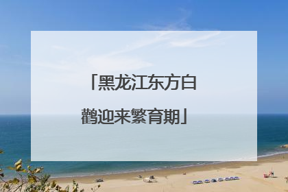 黑龙江东方白鹳迎来繁育期