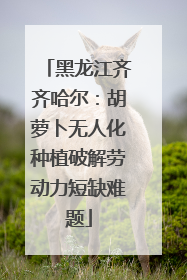 黑龙江齐齐哈尔：胡萝卜无人化种植破解劳动力短缺难题