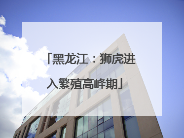 黑龙江：狮虎进入繁殖高峰期