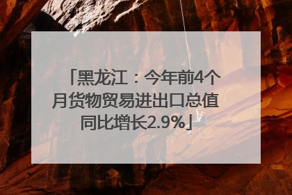 黑龙江：今年前4个月货物贸易进出口总值同比增长2.9%