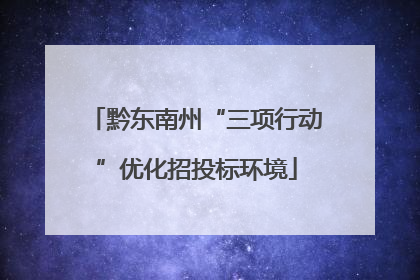 黔东南州“三项行动”优化招投标环境