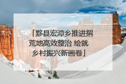 黟县宏潭乡推进撂荒地高效整治 绘就乡村振兴新画卷