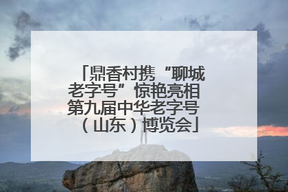 鼎香村携“聊城老字号”惊艳亮相第九届中华老字号（山东）博览会