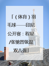 （体育）羽毛球——印尼公开赛：程星/张驰晋级混双八强