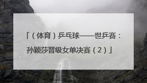 （体育）乒乓球——世乒赛：孙颖莎晋级女单决赛（2）