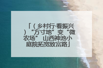 （乡村行·看振兴）“方寸地”变“微农场” 山西神池小庭院拓宽致富路