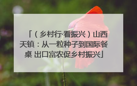 （乡村行·看振兴）山西天镇：从一粒种子到国际餐桌 出口富农促乡村振兴