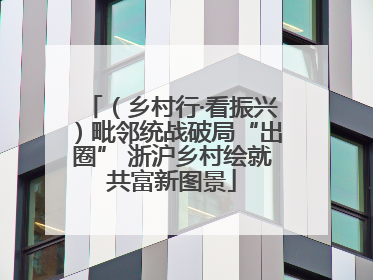（乡村行·看振兴）毗邻统战破局“出圈” 浙沪乡村绘就共富新图景