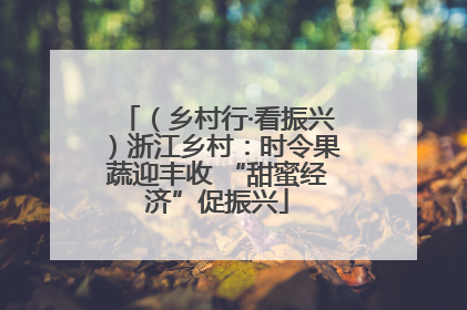 （乡村行·看振兴）浙江乡村：时令果蔬迎丰收 “甜蜜经济”促振兴