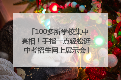 100多所学校集中亮相！手指一点轻松逛中考招生网上展示会