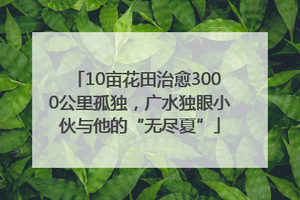 10亩花田治愈3000公里孤独，广水独眼小伙与他的“无尽夏”
