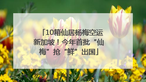 10箱仙居杨梅空运新加坡！今年首批“仙梅”抢“鲜”出国