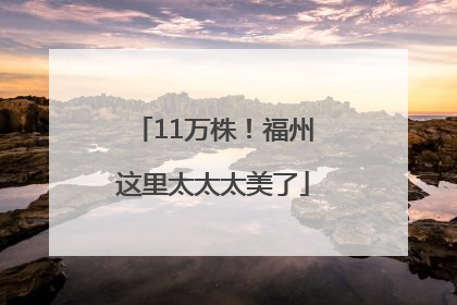 11万株！福州这里太太太美了