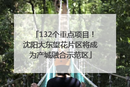 132个重点项目！沈阳大东望花片区将成为产城融合示范区