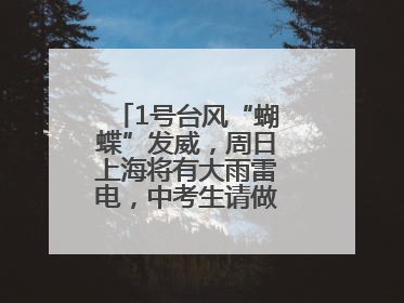 1号台风“蝴蝶”发威，周日上海将有大雨雷电，中考生请做好防范准备