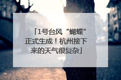 1号台风“蝴蝶”正式生成！杭州接下来的天气很复杂