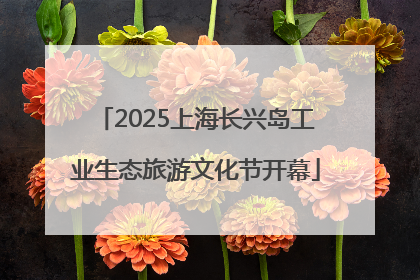 2025上海长兴岛工业生态旅游文化节开幕