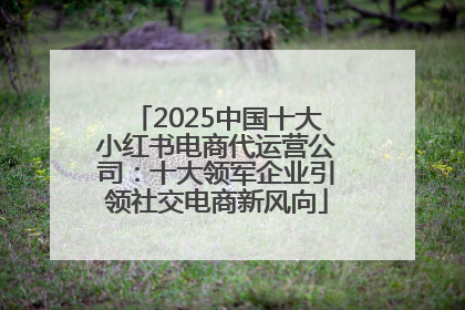2025中国十大小红书电商代运营公司：十大领军企业引领社交电商新风向