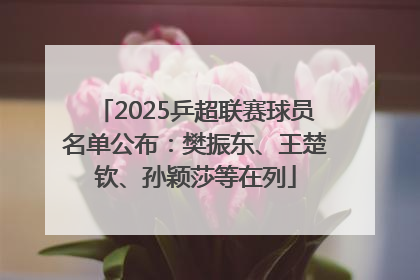 2025乒超联赛球员名单公布：樊振东、王楚钦、孙颖莎等在列