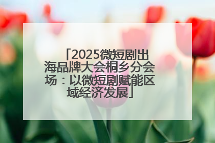 2025微短剧出海品牌大会桐乡分会场：以微短剧赋能区域经济发展