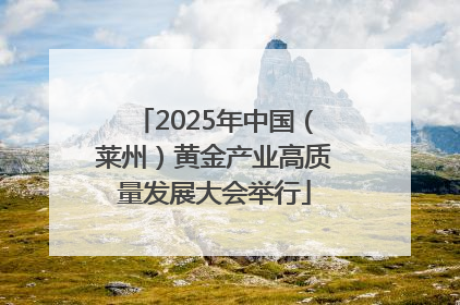 2025年中国（莱州）黄金产业高质量发展大会举行