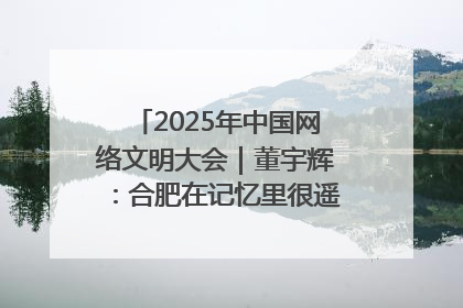 2025年中国网络文明大会｜董宇辉：合肥在记忆里很遥远也很亲切